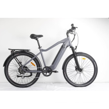 Hot Sale Comfort Urban City Ebike Electric Bike for Men